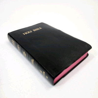 Holy Bible King James Version Nelson 162 Red Letter Dictionary Concordance 1984-image