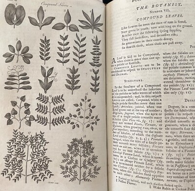 1797 UNIVERSAL MAGAZINE JOHN ADAMS GEORGE WASHINGTON BOTANY WALES MAPS-image
