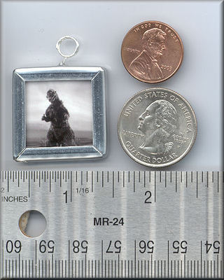 CLOSE2 YOUR ART Glass Pendant GODZILLA Movie Photo Monster -image