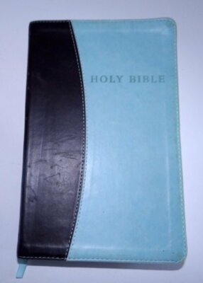 Holy Bible KJV by Hendrickson Blue Brown Leather Cover 2012 Red Letter-image