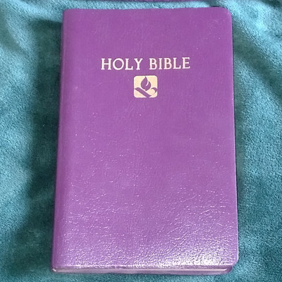 NRSV Gift Award Holy Bible Purple Faux Leather Flexible Bound - Hendrickson 2004-image