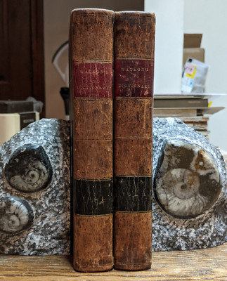 1832 A Biblical And Theological Dictionary, History & Customs Jews, 2 Vols. MAPS-image