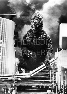 Godzilla & Train Photo Print - Godzilla Art Photo - Japanese Movie Monster-image