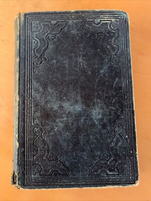 1852 Voyage US Exploring Squadron Science Wilkes Expedition Dead Sea GOLD MAP-image