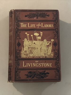 The Life And Labors of Livingstone (Vintage, 1st Ed, 1875) by Chambliss-image