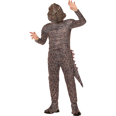 Kids Godzilla x Kong: The New Empire Godzilla Costume - Morris Costumes-image