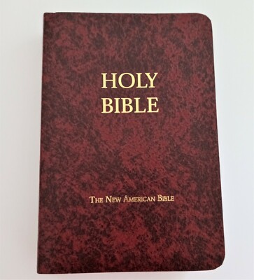Holy Bible The New American Catholic Bible Fireside Study Edition 2009-2010 Ed. -image