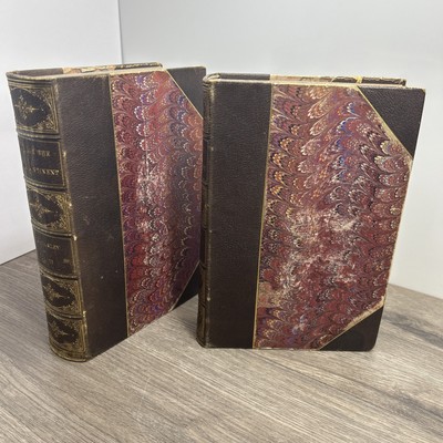Through The Dark Continent By Henry Stanley With Maps Antique 1878 First Edition-image
