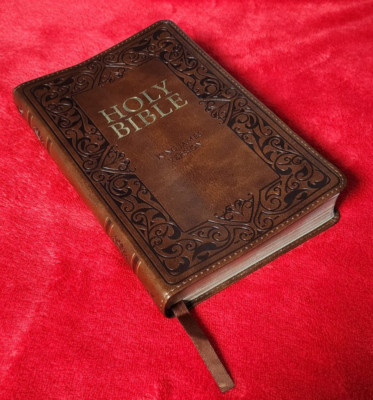 HOLY BIBLE King James Version • THUMB INDEX • Tooled Leather-Look, Gold Gilt-image