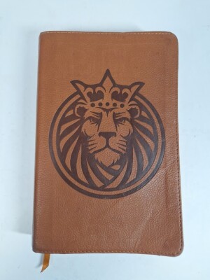 Holman Bible Christian Standard Version Children’s Lion King Cover Color Maps-image