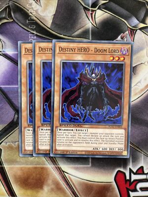 3x Destiny HERO - Doom Lord - SGX1-ENB02 - Common - NM-image