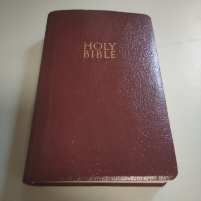 HOLY BIBLE 2011 Zondervan NIV Gift And Award Bible Dictionary/Concordance/Maps-image