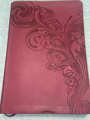THE HOLY BIBLE KJV (Holman Bible Pink-image