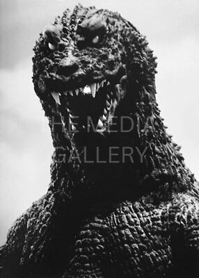 Godzilla Closeup Photo Print - Movie Kaiju Monster Art - Japanese Art Decor -image