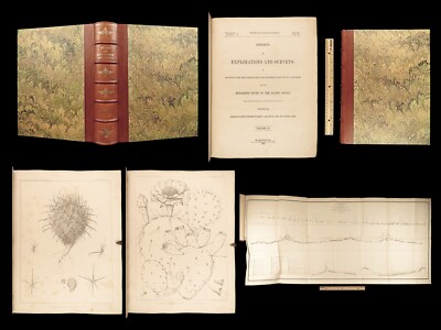 1856 Pacific Exploration Botany MAP Zoology Cactus Sequoia California Redwoods-image